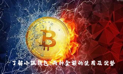  了解小狐钱包：两种金额的使用及优势