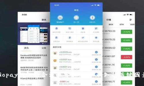 Gopay钱包的合法性分析：用户必知的关键因素