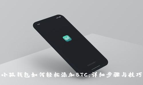 小狐钱包如何轻松添加BTC：详细步骤与技巧