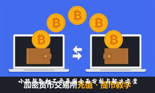 小狐钱包打不开原因全面分析与解决方案