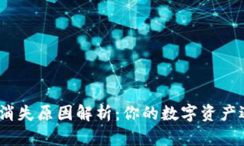 标题: 小狐钱包消失原因解析：你的数字资产遇到了什么问题？