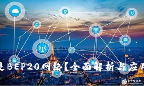 什么是BEP20网络？全面解析与应用案例