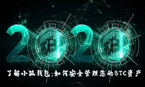 了解小狐钱包：如何安全管理您的BTC资产