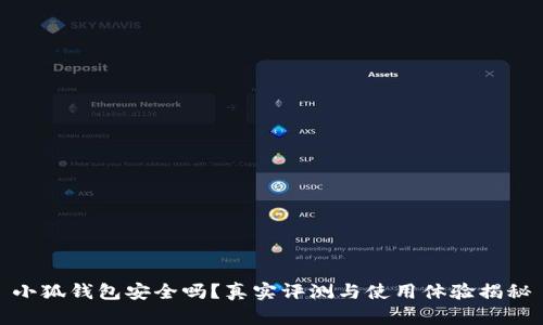小狐钱包安全吗？真实评测与使用体验揭秘