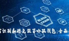 如何识别和避免假冒小狐钱包：全面指南