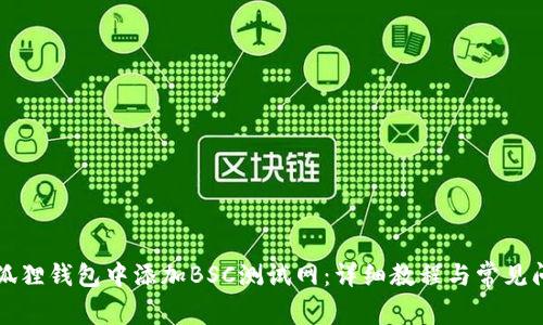 如何在狐狸钱包中添加BSC测试网：详细教程与常见问题解析