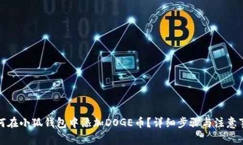 如何在小狐钱包中添加DOGE币？详细步骤与注意事项