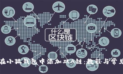 如何在小狐钱包中添加双A链：教程与常见问题
